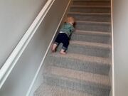 Toddler Masters the Art of Walking Down Stairs