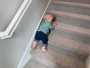 Toddler Masters the Art of Walking Down Stairs