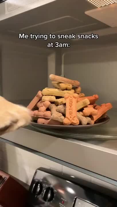 Dog Tries to Sneak Snacks at Midnight