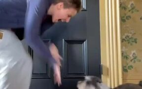 Dog Tries to Follow Owner's Dance Steps - Animals - VIDEOTIME.COM
