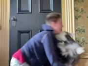 Dog Tries to Follow Owner's Dance Steps