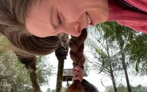 Dog Pulls Owner's Hair Tie - Animals - VIDEOTIME.COM