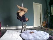Dog Jumps Playfully When Their Owner Pole Dances