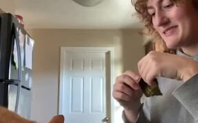 Kitten Steals Seaweed From Owner While Eating - Animals - VIDEOTIME.COM