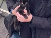 Guy Finds Cat at Train Station and Adopts Them