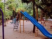 Dog and Kids Playing on Playground Slide