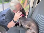 Dog Reunites With Owner After Days of Separation