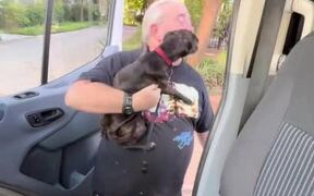Dog Reunites With Owner After Days of Separation - Animals - VIDEOTIME.COM