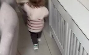 Cute Toddler in Complete Shock