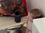 Cute Toddler in Complete Shock