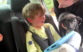 Boy Starts Crying After Dad Surprises Him - Kids - VIDEOTIME.COM