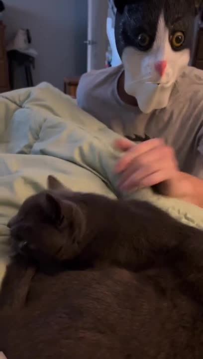 Guy Pranks His Cat by Wearing Cat Mask