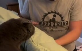 Guy Pranks His Cat by Wearing Cat Mask