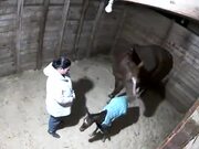 Mom Horse Kicks Woman When She Touched Her Baby
