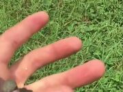 Person Rescues Baby Hummingbird From Grass