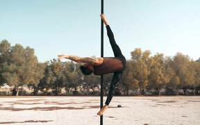 Artist Performs Amazing Pole Dance Routine