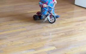 Chucky Riding on a Tricycle to Give You CHILLS! - Animals - Videotime.com