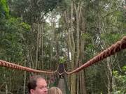 Joyful Gibbon Ape Swings Over Tourist Family
