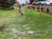 Kid's First-Ever Trail Race Almost Spoiled