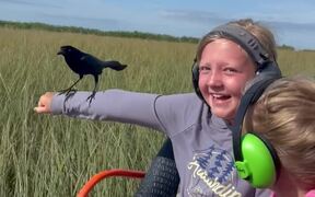 Curious Bird Lands On The Arm Of A Girl