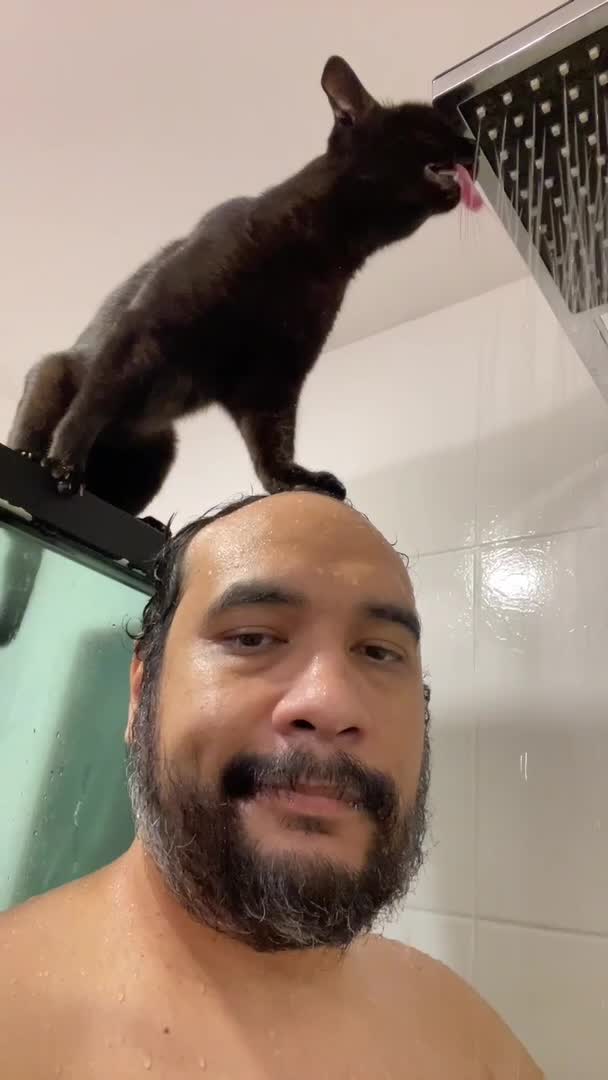 Cat Drinks Water From Shower