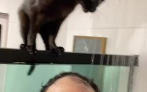 Cat Drinks Water From Shower