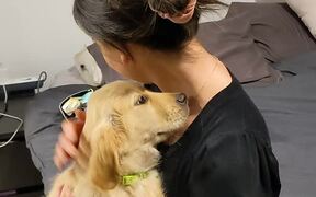 Boyfriend Surprises Girlfriend With Puppy