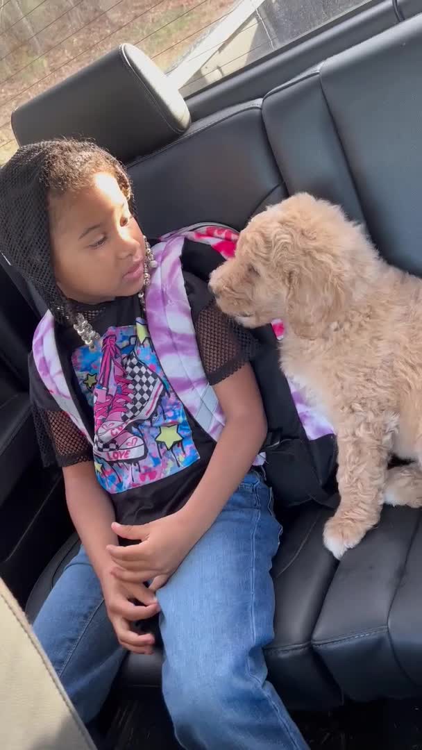 Kid Consoles Sad Puppy Before Leaving For School