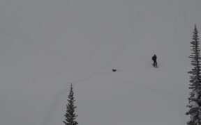 Guy Loses Balance And Faceplants Into Snow