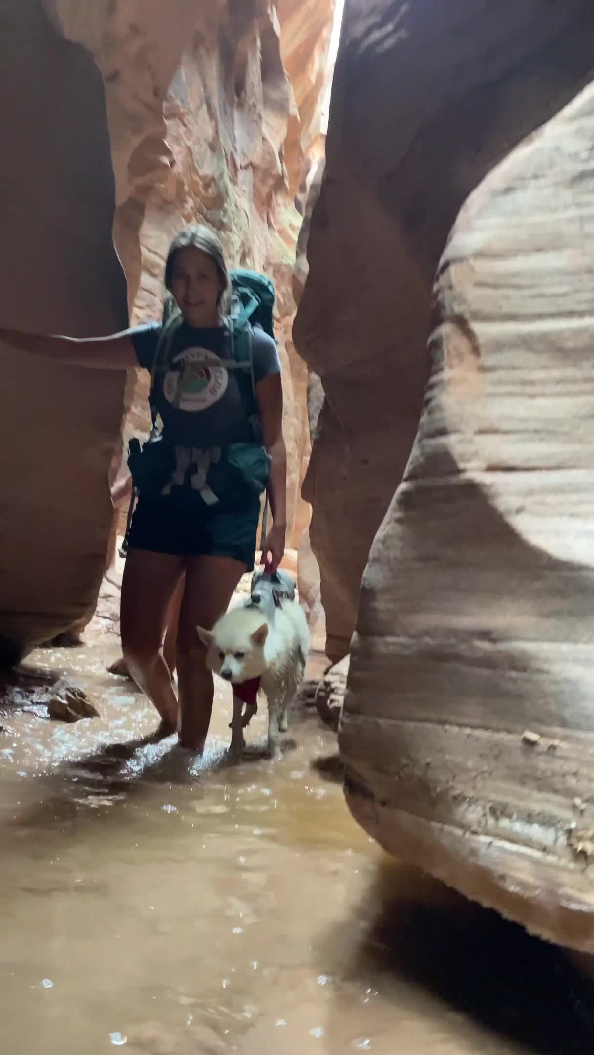 Dog Goes on Canyoneering Adventure With Owner
