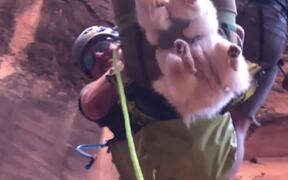 Dog Goes on Canyoneering Adventure With Owner