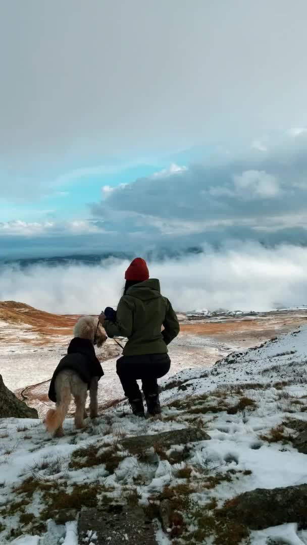 Dog Goes Hiking With Their Owner