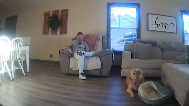 Puppy Tries to Jump Onto Couch But Fails
