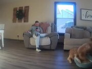 Puppy Tries to Jump Onto Couch But Fails