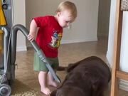 Kid Vacuums Over Dog's Body