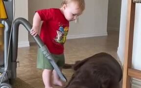 Kid Vacuums Over Dog's Body - Animals - Videotime.com
