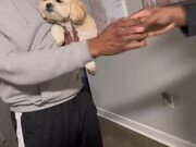 Cute Dog Doesn't Like Being Touched by Others