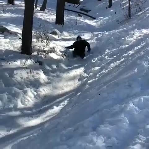 Person Crashes Into Tree Trunk While Sledging