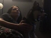 Husky Howls Along With Owner