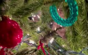Cat Found Swatting at Decorations From Inside Tree