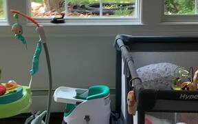 Toddler Can't Stop Laughing