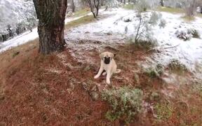 Guy Goes Camping With Dog in Snowy Winter Weather