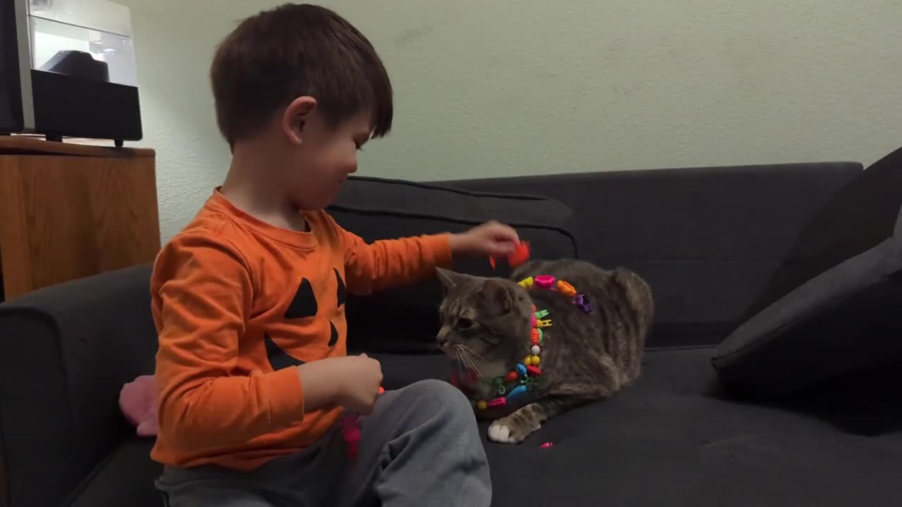 Kid Dresses Up Cat With Necklaces