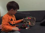 Kid Dresses Up Cat With Necklaces