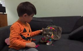 Kid Dresses Up Cat With Necklaces - Animals - Videotime.com