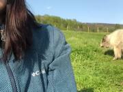Woman Gets a 'Kick' Out of Ignoring a Pet Sheep