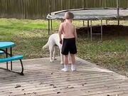 Kid Shares His Ice Cream With His Labrador Dog