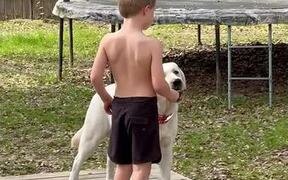 Kid Shares His Ice Cream With His Labrador Dog