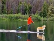 Man Paddle Boards With His Dog in Lake