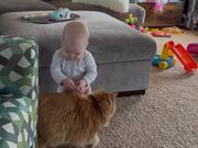 12-months-old Takes Baby Steps Towards Cat